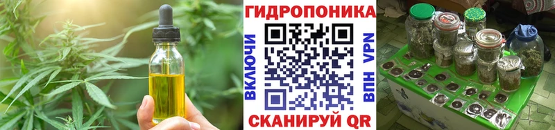 Canna-Cookies конопля  Сунжа 