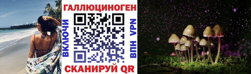 Псилоцибиновые грибы Cubensis  Сунжа 